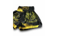 Шорты для бокса Blegend black/gold XXL