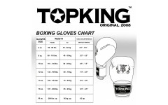 Боксерские перчатки Top King Boxing SUPER AIR STAR silver 12 oz