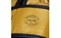 Боксерские перчатки Fairtex BGV19 gold 10 oz